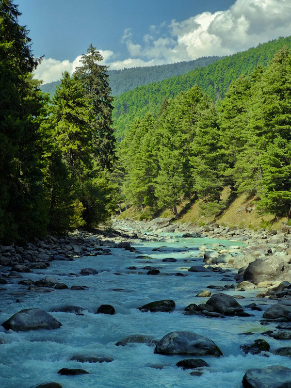 總銅水質在線分析儀 總銅水質在線分析儀