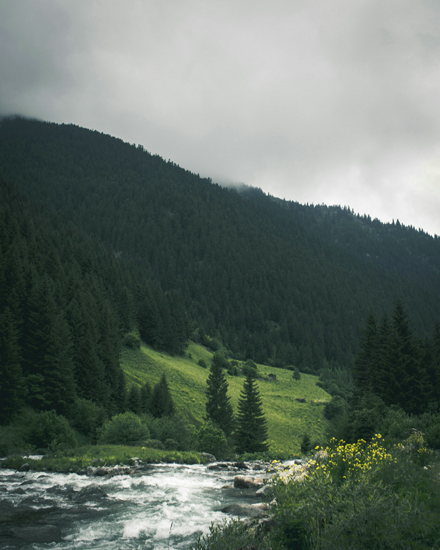 總氮在線監(jiān)測儀 總氮在線監(jiān)測儀